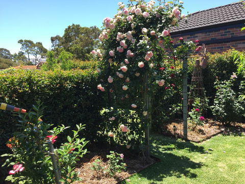Garden Apartment - Tourism Caloundra 3