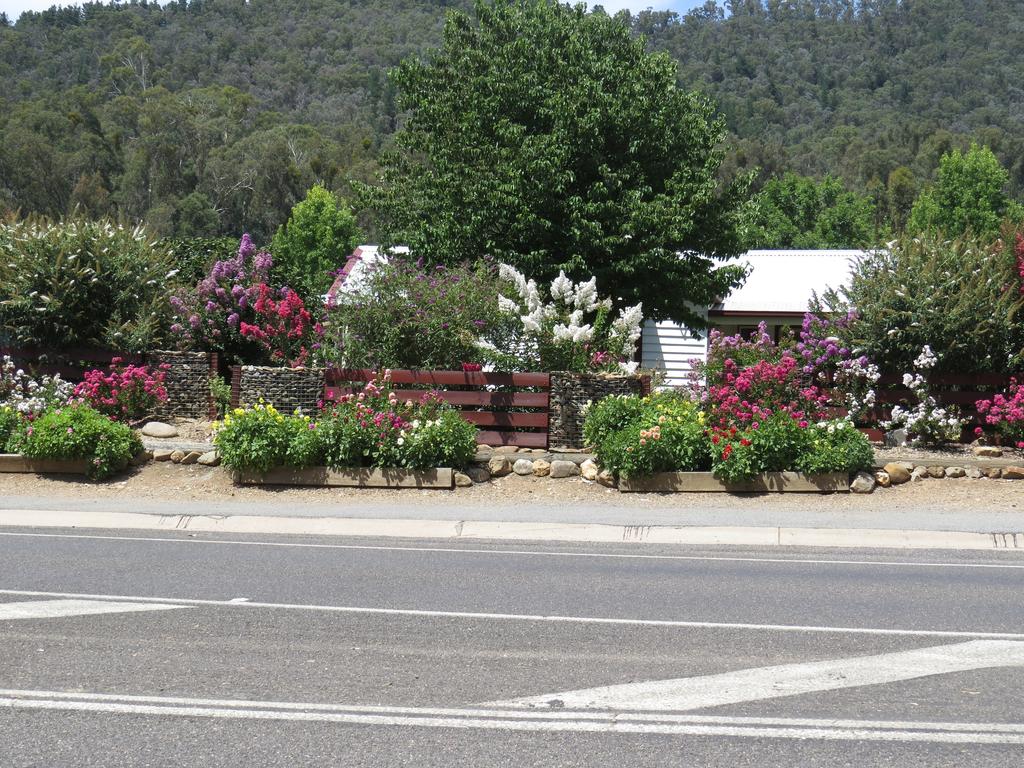 Bright VIC Tourism Caloundra