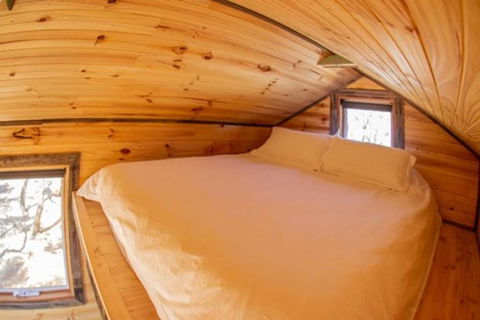 Geelong Tiny House - Tourism Caloundra 2