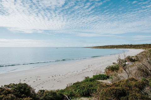 Glamping @ September Beach, Lincoln National Park - Tourism Caloundra 2