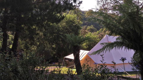 Glamping At Zeehan Bush Camp - Tourism Caloundra 0