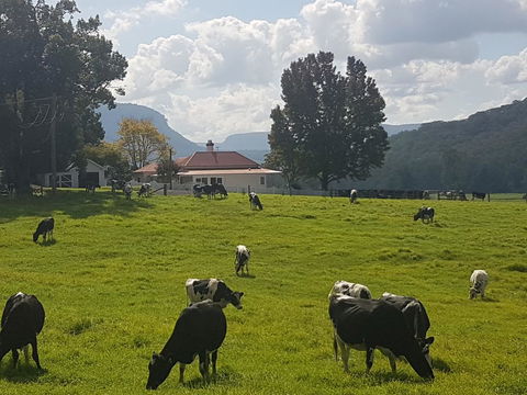 Glenmurray - Country Farm Stay! - Tourism Caloundra 0