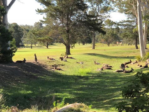 Golf View Motel - Tourism Caloundra 1