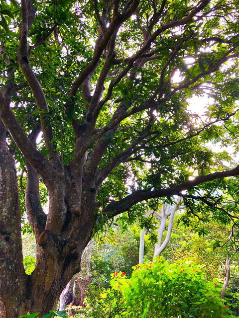 Graces Of Byron - Tourism Caloundra 3