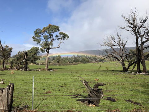 Grampians Old Man Emu Stay - Tourism Caloundra 2