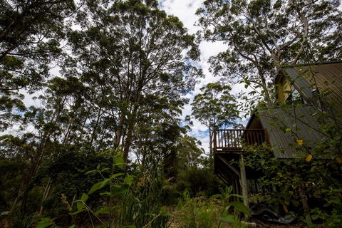 Green Leaves Cabin - Tourism Caloundra 0