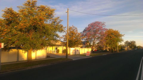 Gunnedah Lodge Motel - Tourism Caloundra 1