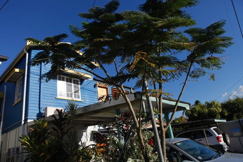 Happytourcairns Sharehouse - Tourism Caloundra 0