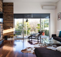 Harlequin - Tourism Caloundra
