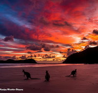 Heather's Mica Cottage - Tourism Caloundra