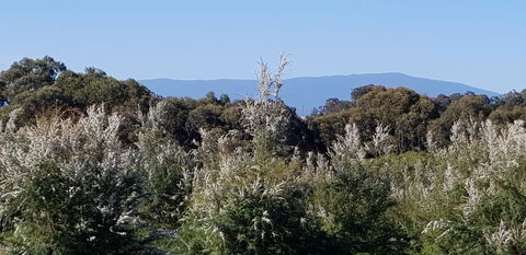 Hideaway Valley Farm - Tourism Caloundra 1