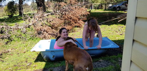 Hideaway Valley Farm - Tourism Caloundra 3