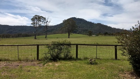 Hollyhill Cottage - Tourism Caloundra 0