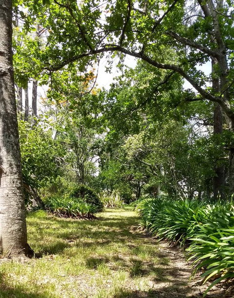 Hollyhill Cottage - Tourism Caloundra 3