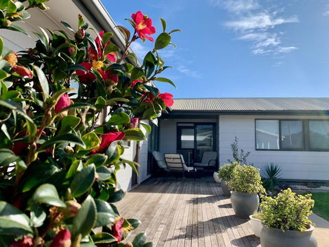 Homely Getaways In Surf Beach - Pet Friendly - Tourism Caloundra 0
