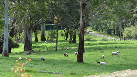 JAN'S ART STUDIO AT ASHBY RISE - Tourism Caloundra 0