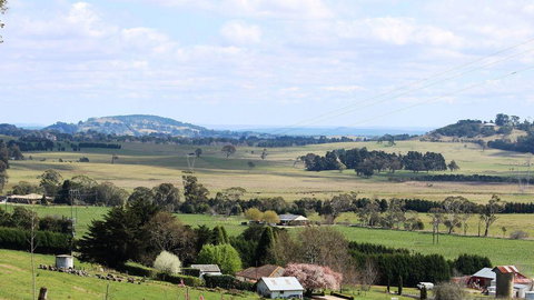 JAN'S ART STUDIO AT ASHBY RISE - Tourism Caloundra 2