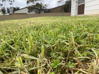 Book Karoonda Accommodation Vacations Tourism Caloundra Tourism Caloundra