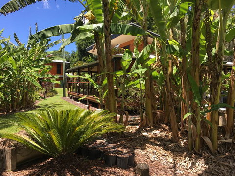 Kin Kin Cottage Retreat - Tourism Caloundra 3