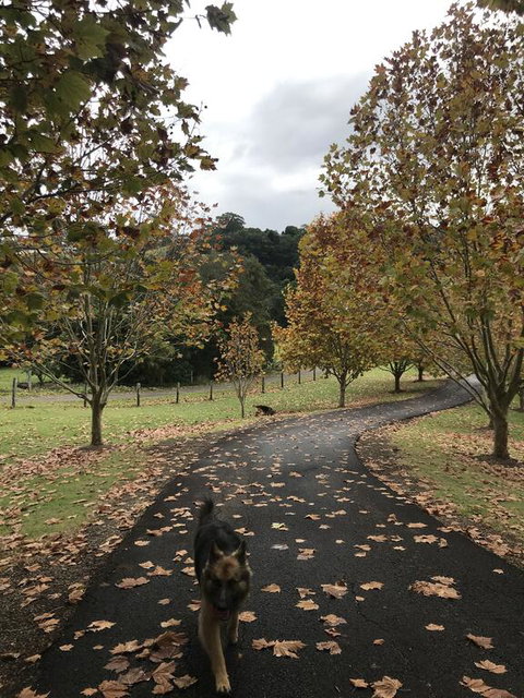 King Ludwigs Cottage - Tourism Caloundra 1