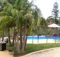 Koala Tree Motel - Tourism Caloundra
