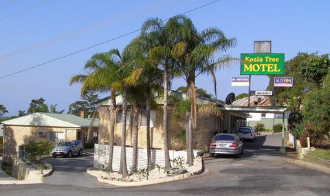 Koala Tree Motel - Tourism Caloundra 1