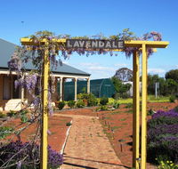 Lavendale Farmstay and Cottages York - Tourism Caloundra