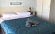 Merimbula Gardens Motel - thumb 3