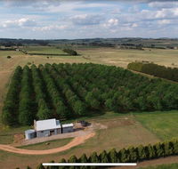 Millthorpe Truffles - Gorgeous getaway for 2 - Tourism Caloundra