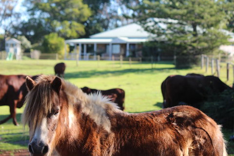 Montville House On The Hill - Tourism Caloundra 2