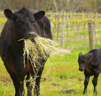 Naimanya Cottage - Tourism Caloundra
