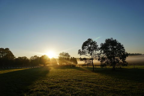 Narangba Motel (formerly Brisbane North B&B And Winery) - Tourism Caloundra 2
