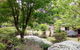 Naturescape - thumb 0