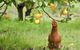 Naturescape - thumb 3