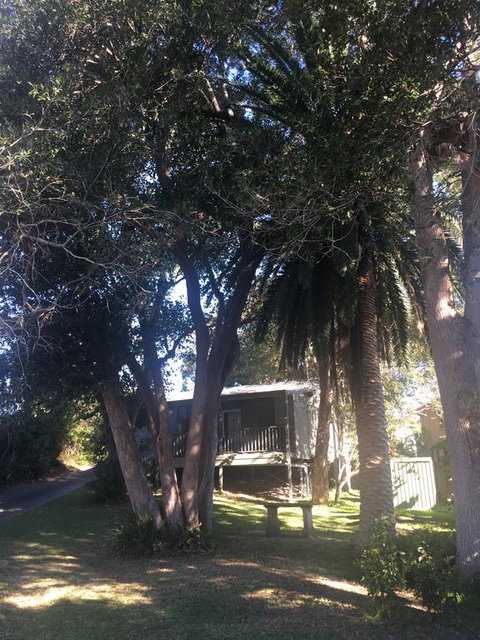 Neds On Northcote - Tourism Caloundra 0