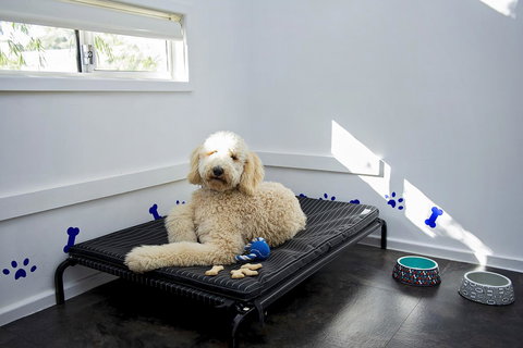 Discovery Parks - Woodman Point - Tourism Caloundra 7