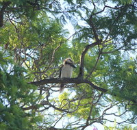Jacaranda Hideaway Bed  Breakfast - Tourism Caloundra