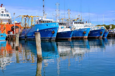 Gallery Serviced Apartments - Tourism Caloundra 27