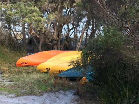 Riverside Retreat Chalets, Walpole - Tourism Caloundra 20
