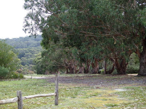 Riverside Retreat Chalets, Walpole - Tourism Caloundra 17
