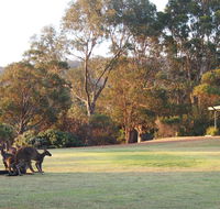 Riverside Retreat Chalets Walpole - Tourism Caloundra