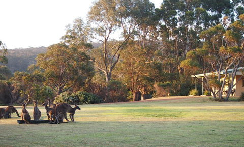 Riverside Retreat Chalets, Walpole - Tourism Caloundra 0