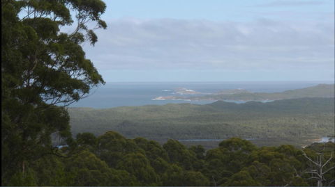 Riverside Retreat Chalets, Walpole - Tourism Caloundra 30