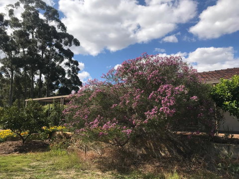 Cockburn Retreat Home æŸæ–¯æ‚ é–’æ°‘å®¿ - Tourism Caloundra 0