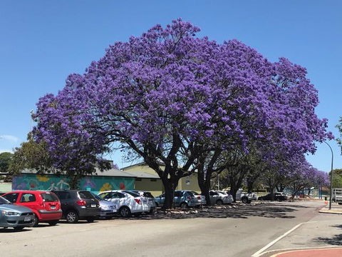 Gerring Court With Free 1 Car Bay Parking - Tourism Caloundra 20