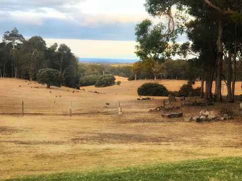 For The Birds Yallingup - Tourism Caloundra 28