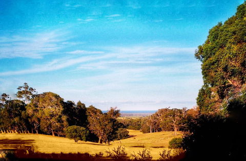 For The Birds Yallingup - Tourism Caloundra 27