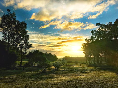 For The Birds Yallingup - Tourism Caloundra 23
