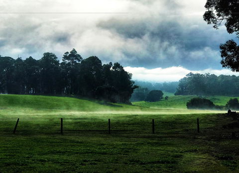 For The Birds Yallingup - Tourism Caloundra 25