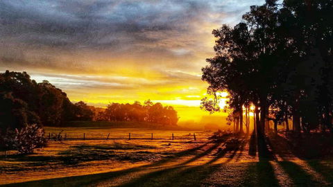 For The Birds Yallingup - Tourism Caloundra 26